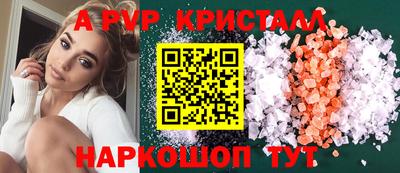 гашик Будённовск