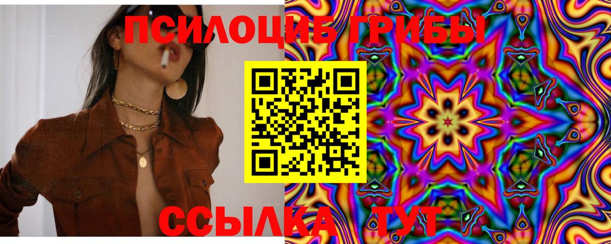 Череповец  Псилоцибиновые грибы ЛСД  Вход с VPN 